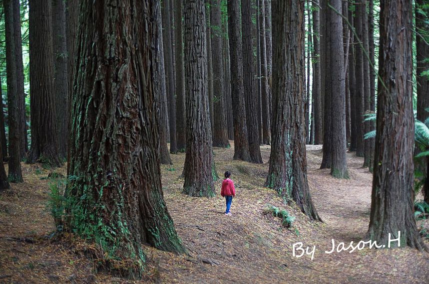 “新晋男友”李现代言的这个南半球网红城市，6月往返只需¥3000