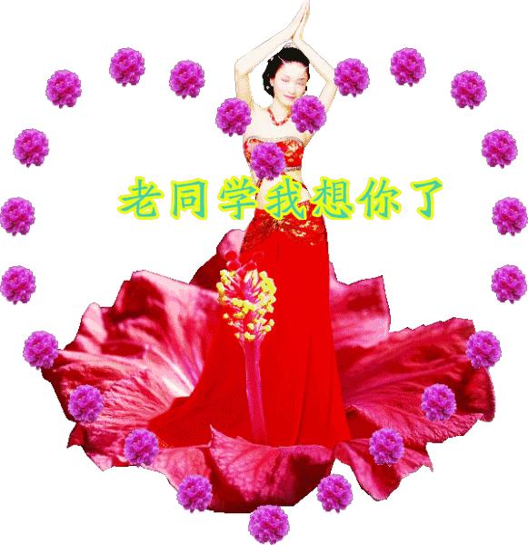 送给我思念的老同学,老同学我想你原版