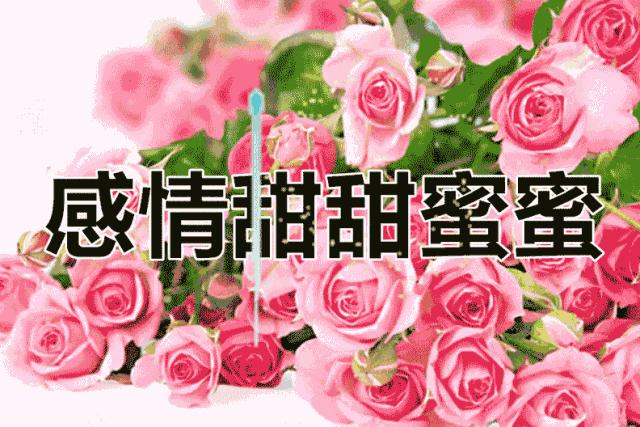 送给我思念的老同学,老同学我想你原版