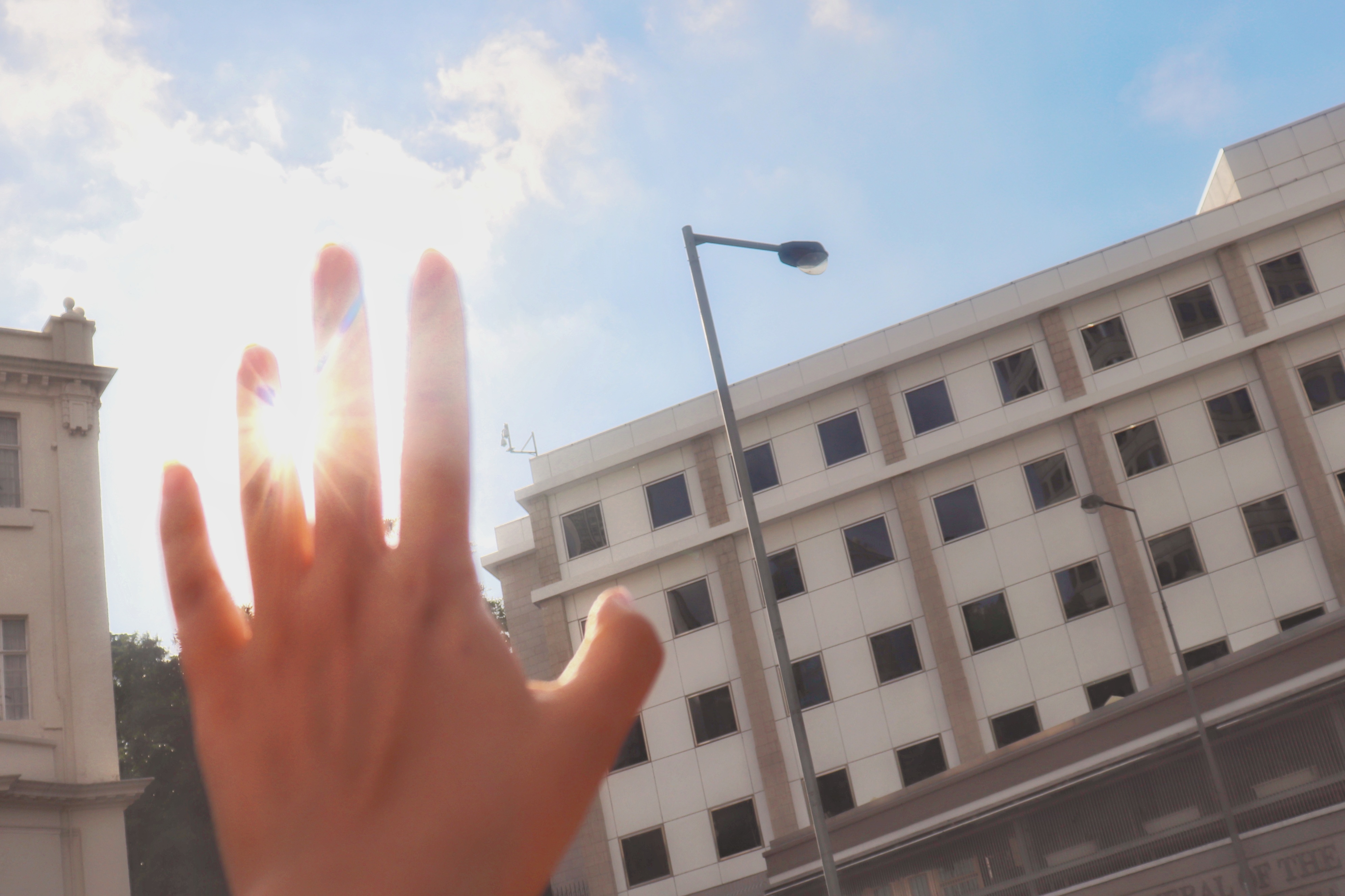 24小时香港过关攻略,香港可以这样玩攻略篇