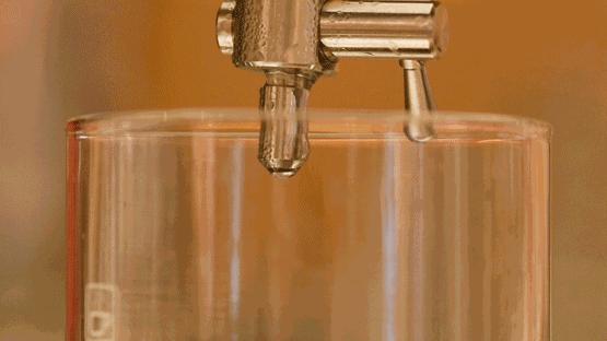 近期排队很火的网红茶 (排队最好的网红茶)