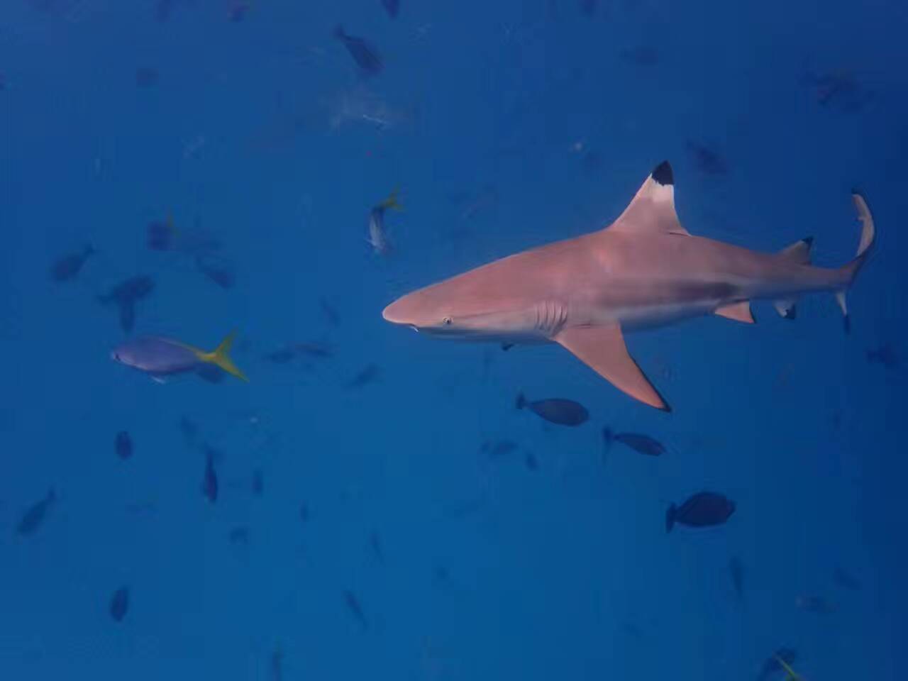 海岛地图最美风景打卡点,山东人少景美的海岛推荐