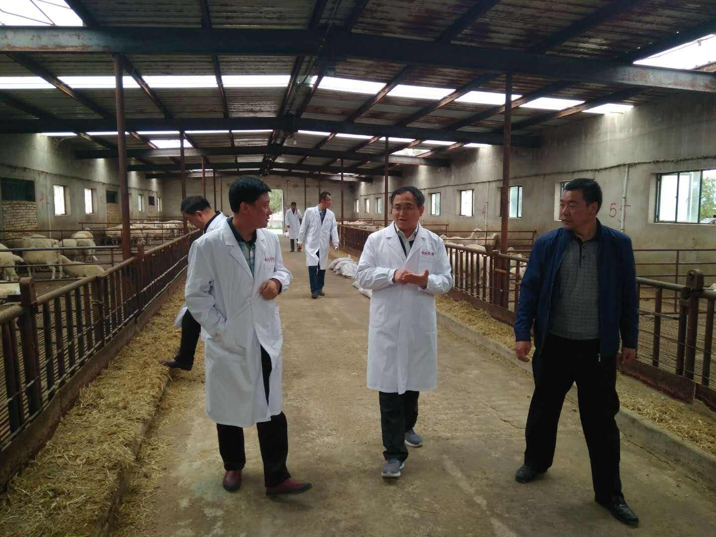 新致富项目有哪些,新型致富项目3500