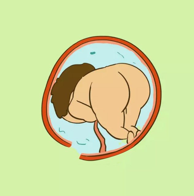 三维和四维彩超有哪些区别,孕中期三维和四维彩超都需要做吗