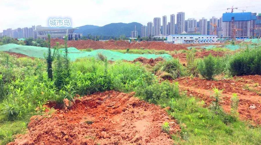 长沙房价新政策最新消息,长沙的房价新政策