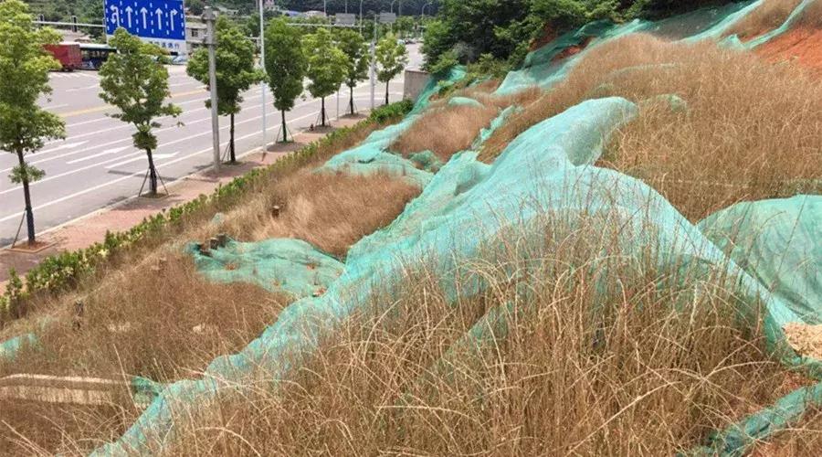 长沙房价新政策最新消息,长沙的房价新政策