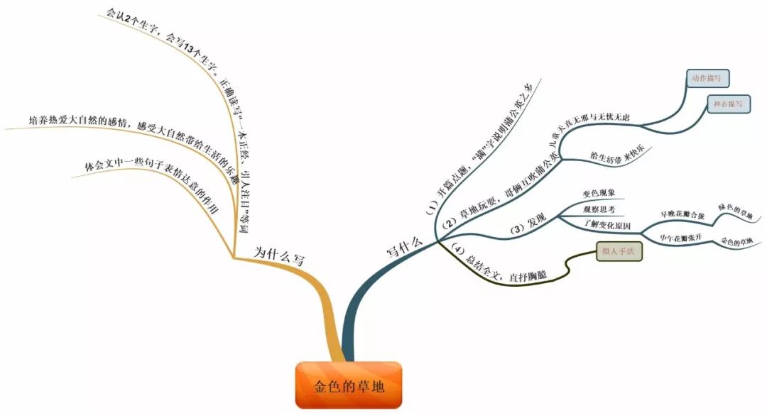 三年级上册语文思维导图模板空白,三年级语文第一单元思维导图8k纸