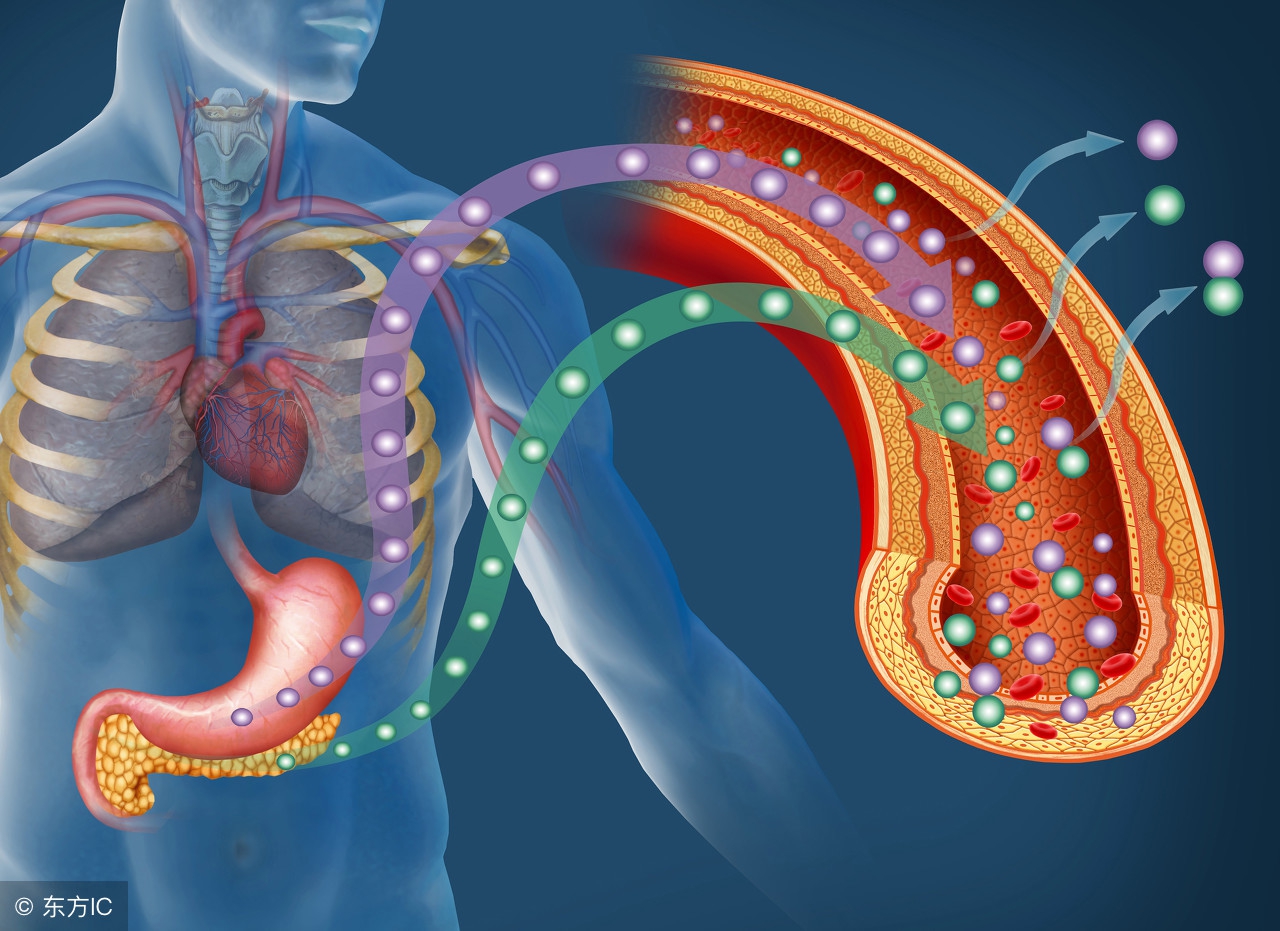 胰岛素抵抗血糖最多不会超过多少,胰岛素抵抗血糖正常可以逆转吗