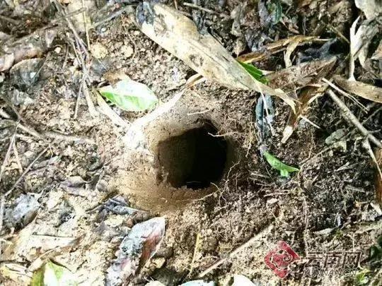 真正的陨石价值一克多少钱,巨大的陨石多少钱一克