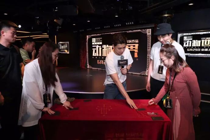 李易峰动物世界电影讲什么,李易峰动物世界在哪看