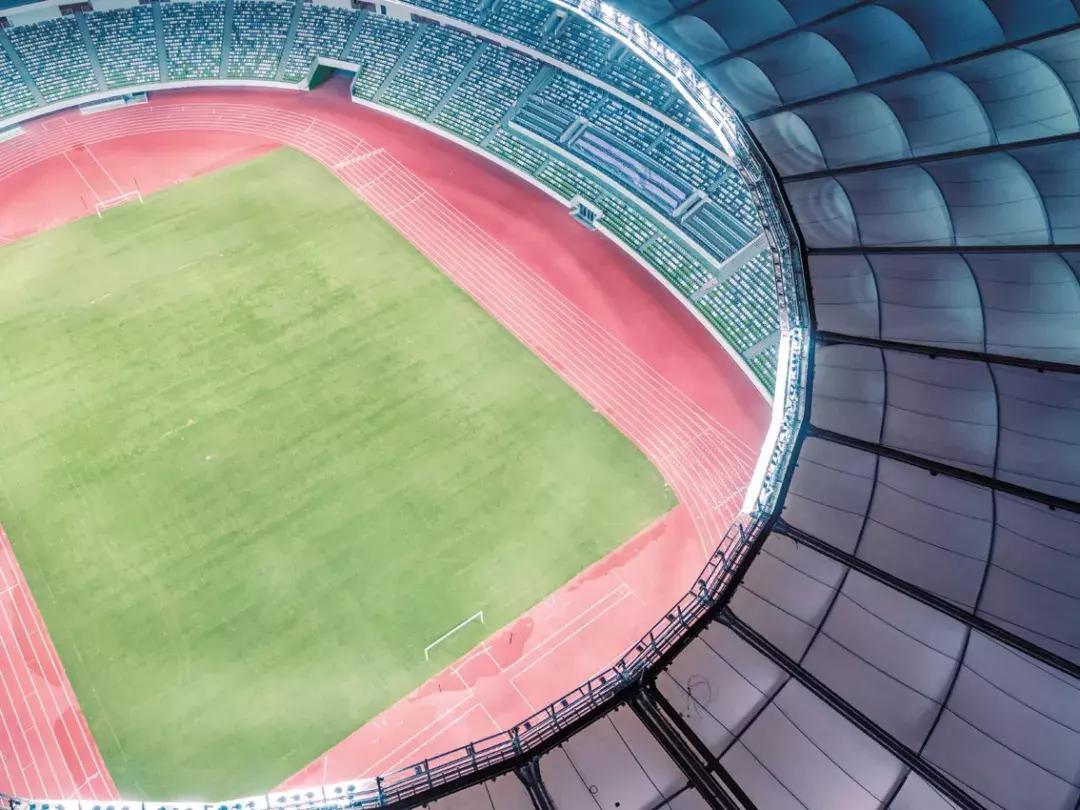 世界杯写作素材,世界杯叙事