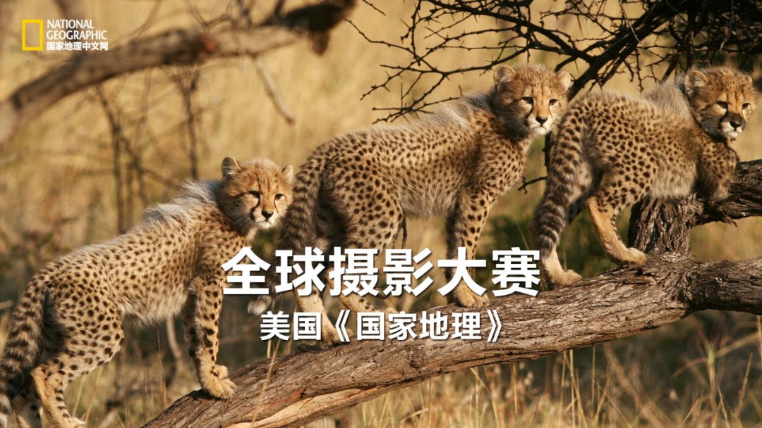 世界十大风景名胜地点,全球顶级50个令人惊叹的美景