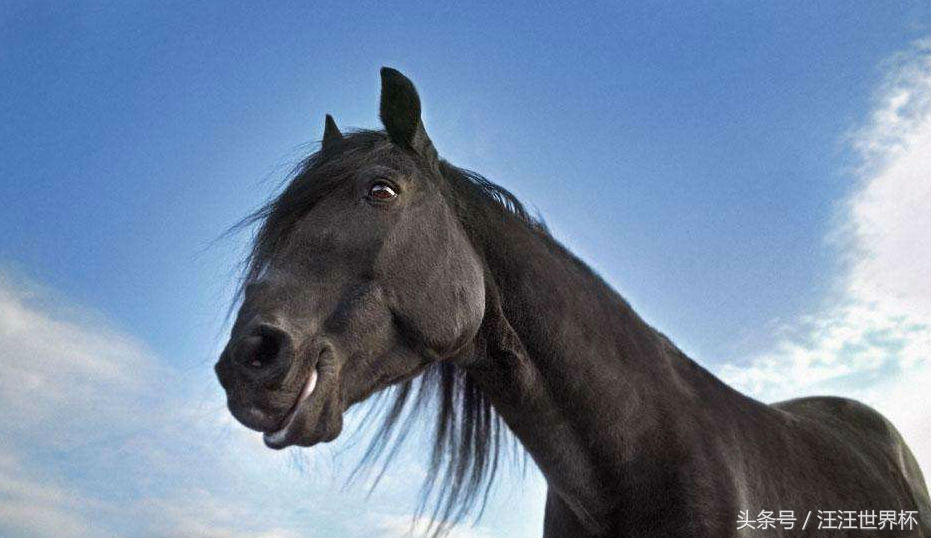 2018年世界杯黑马预测,2018世界杯黑马猜测