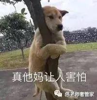 我不过想卖个二手包，结果差点被人整吐血……