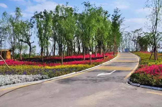 西安最美跑道,在美丽的操场上跑步