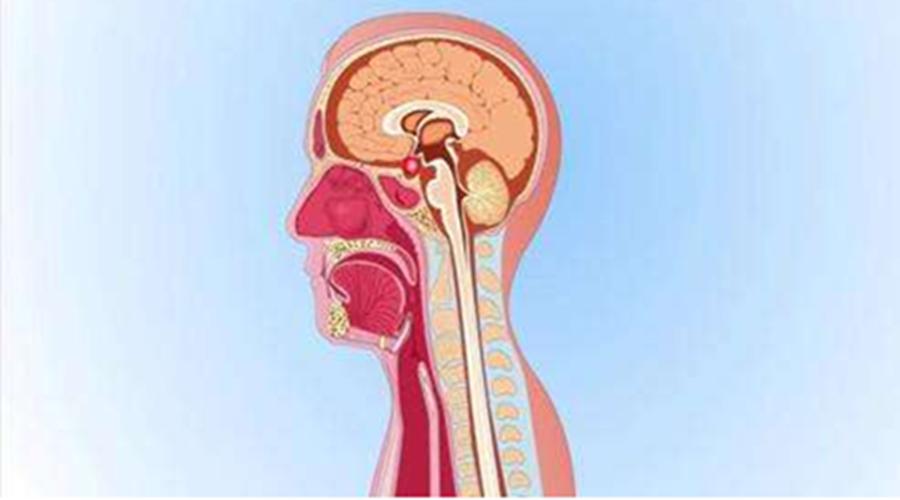 孩子呕吐伴有头疼是感冒吗,孩子突然头疼是感冒了吗