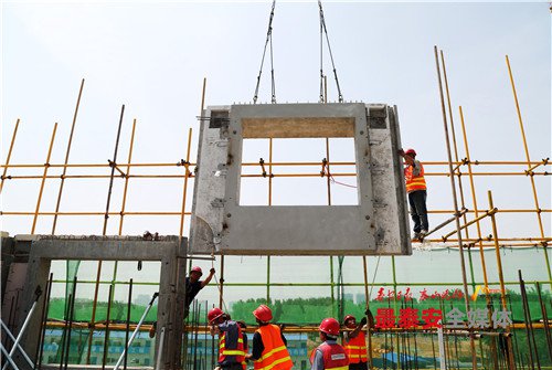 总有一张照片打动你,总有一张照片感动你