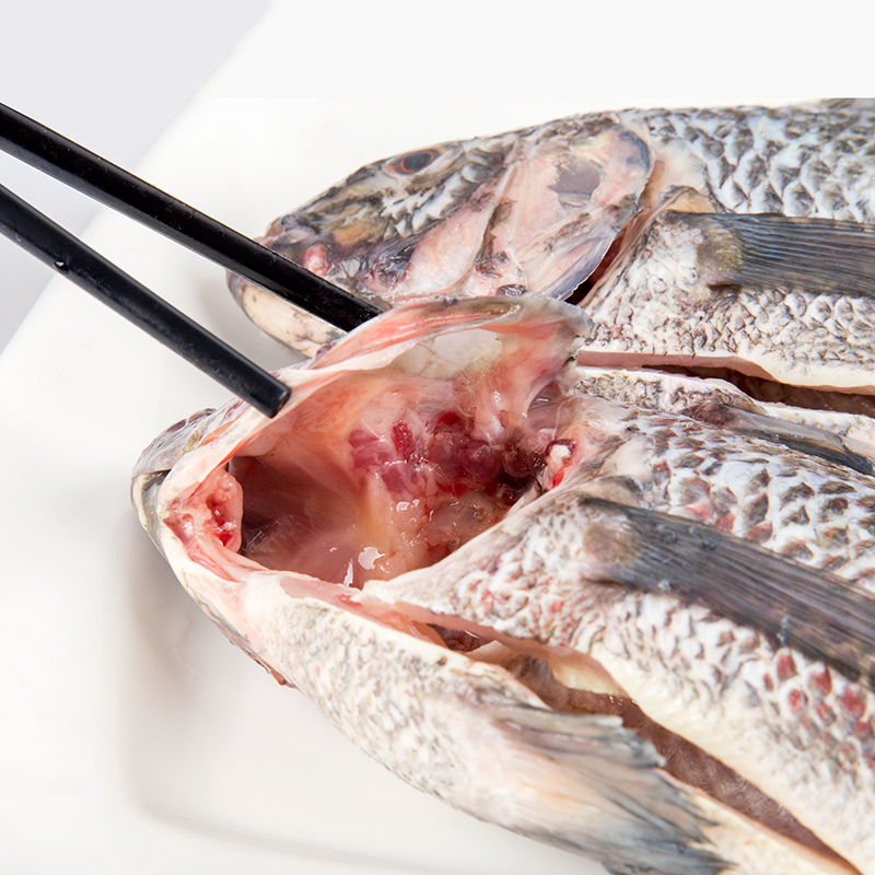 家庭用微波炉可以做烤鱼吗,家庭烤鱼微波炉最简单的方法