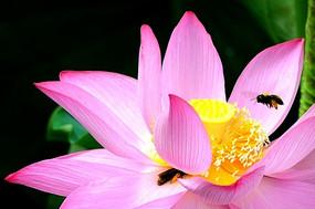 爱一个人放不下的情感,忘不了放不下的心痛