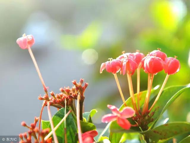 爱一个人放不下的情感,忘不了放不下的心痛