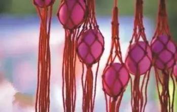 大开眼界知识大全,大开眼界看不懂