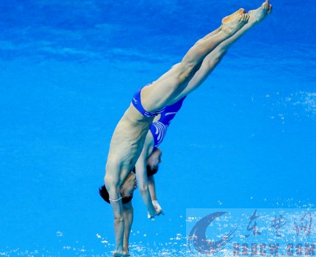 跳水中国队包揽金牌,跳水世界锦标赛中国队参赛名单