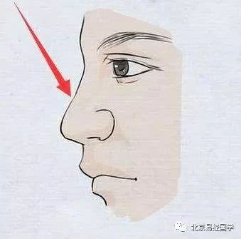 鼻子下垂的鼻相,什么样的鼻子是好鼻相