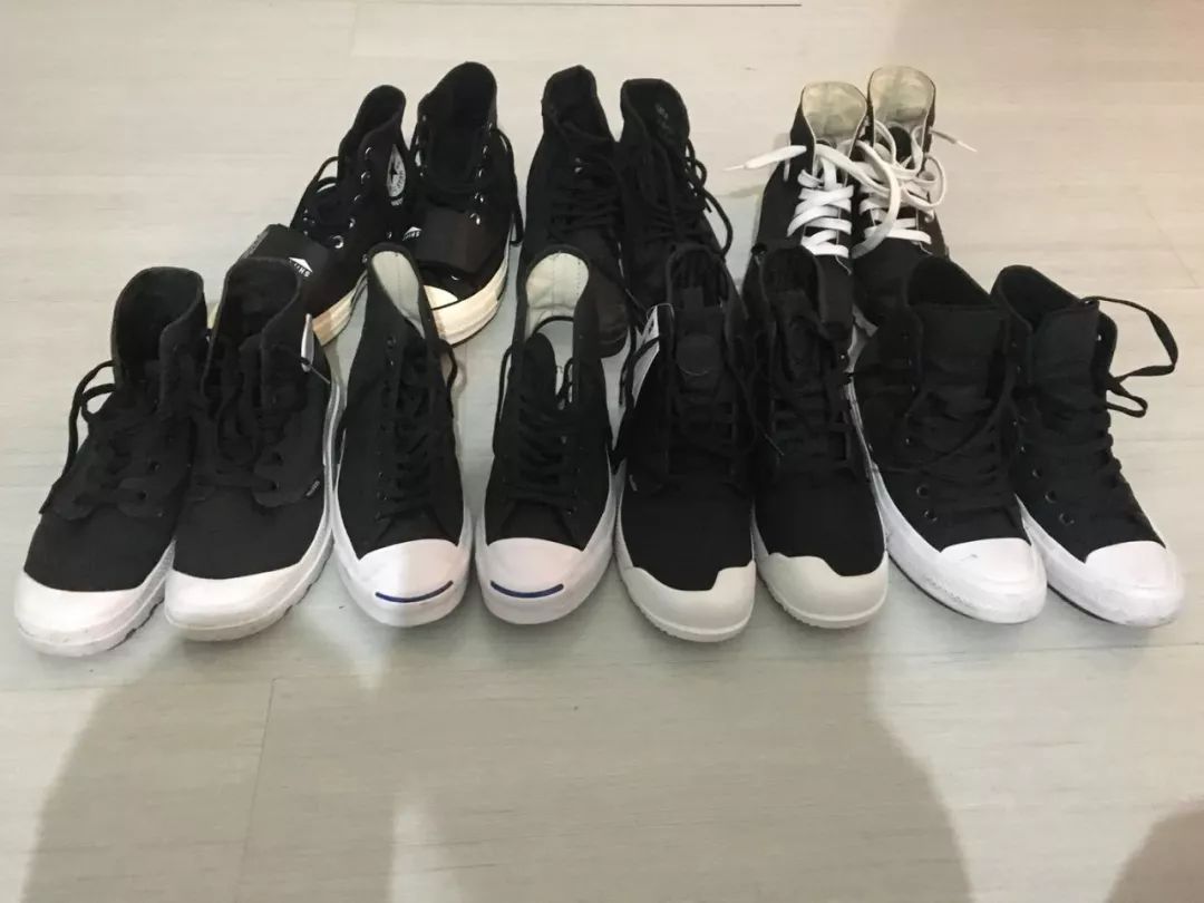 当代人的第十三个属相:松鼠