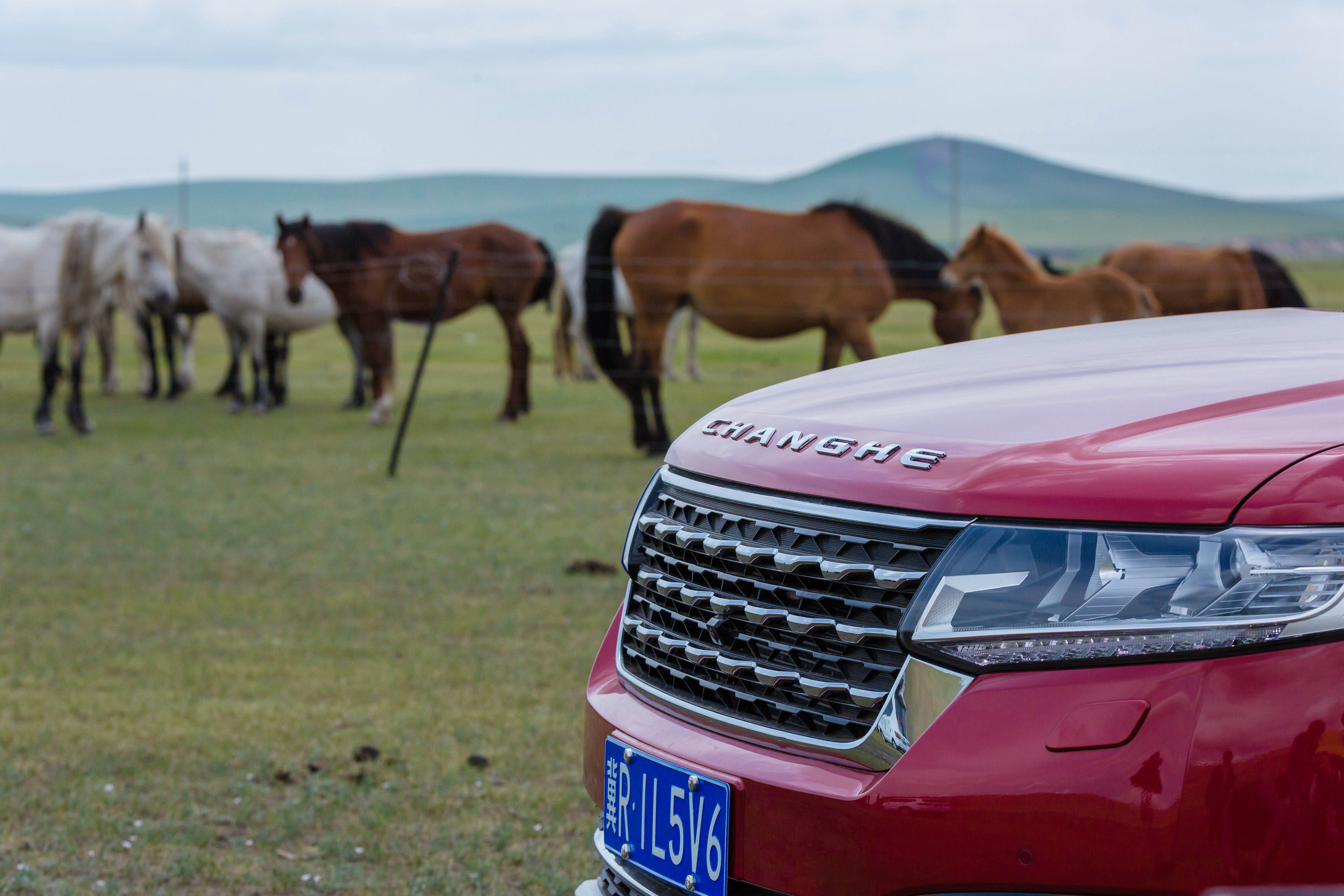 全国首提昌河q7,向品质的生活出发
