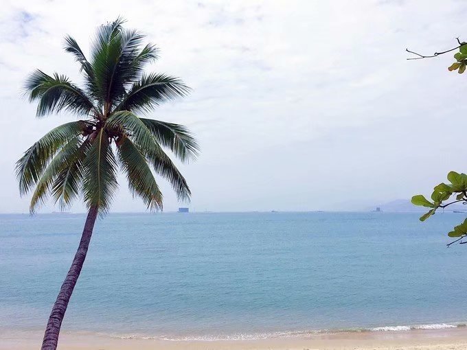 三亚陪伴孩子之旅结束寄语,陪伴是爱