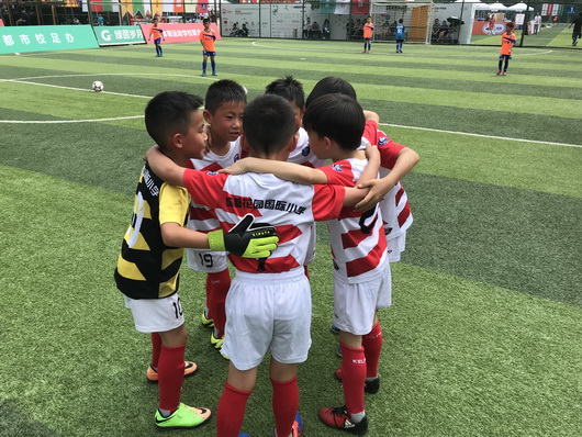 成都t甲联赛信息,成都围甲联赛积分榜