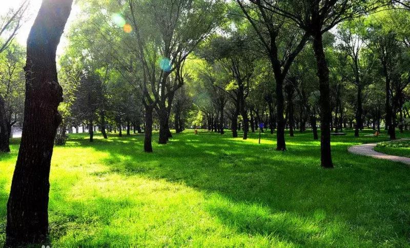 郑州适合夏天玩的旅游景点,郑州夏天旅游景点推荐