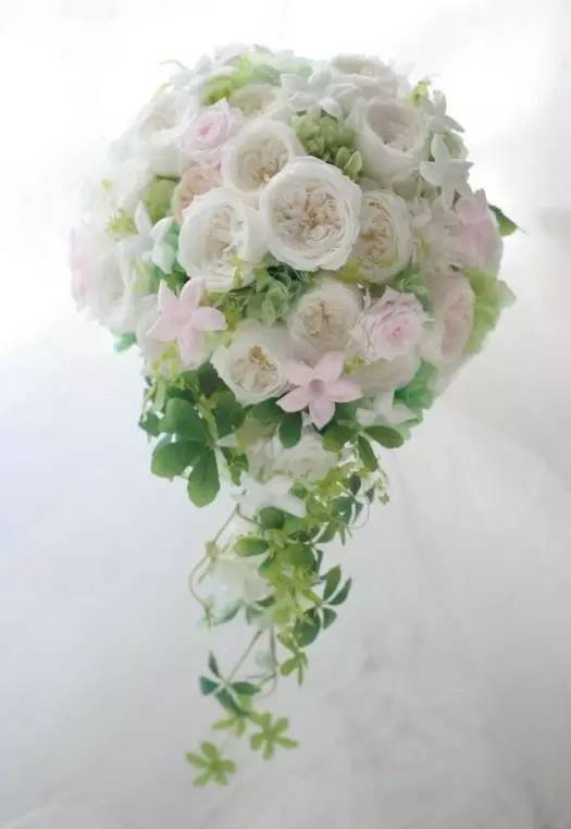 永生花注意事项图,永生花的鉴别方法