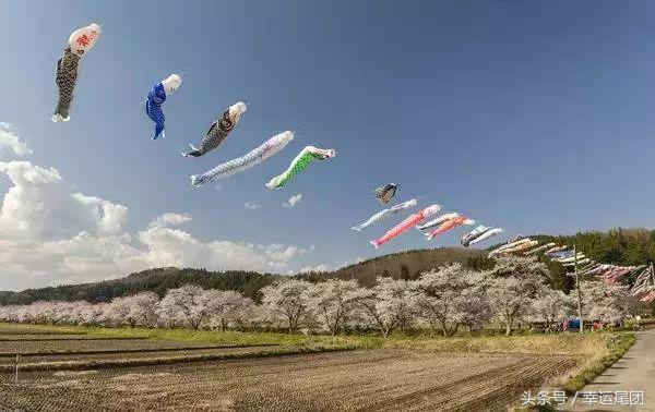 旅行攻略端午节您能去哪里,端午小长假怎么出门旅游