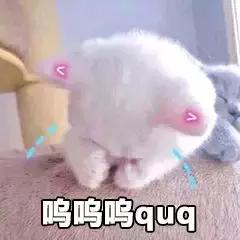 高考生优惠景区,高考生福利湖北