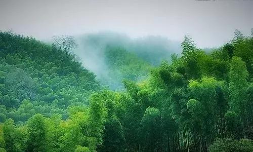 我从山中来诗词七律,我从山中来诗句