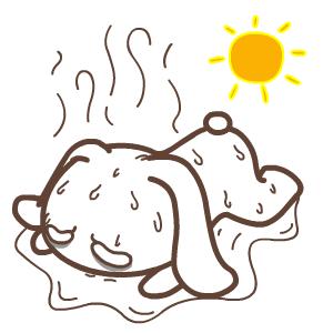 防晒做的比较好的品牌,防晒做不对显老二十岁