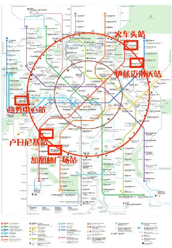 支付宝出征世界杯赴俄中国大妈怒赞：可洋气了