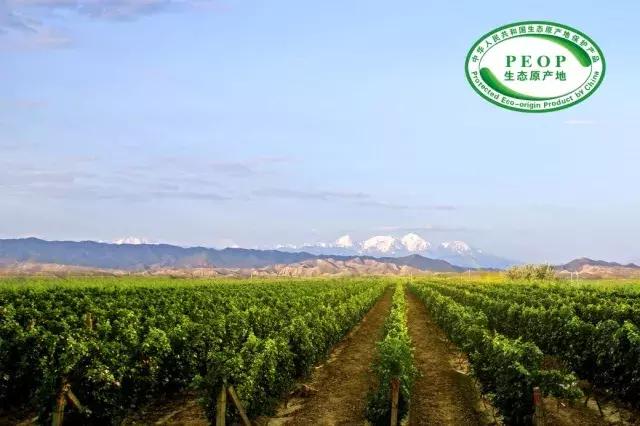 尼雅2017赤霞珠干红葡萄酒价格750ml,尼雅葡萄酒是中国最好的葡萄酒吗