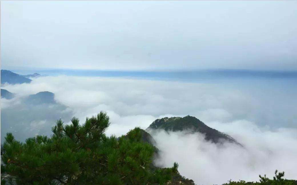 我们不一样御龙湾,我们不一样清明节图片