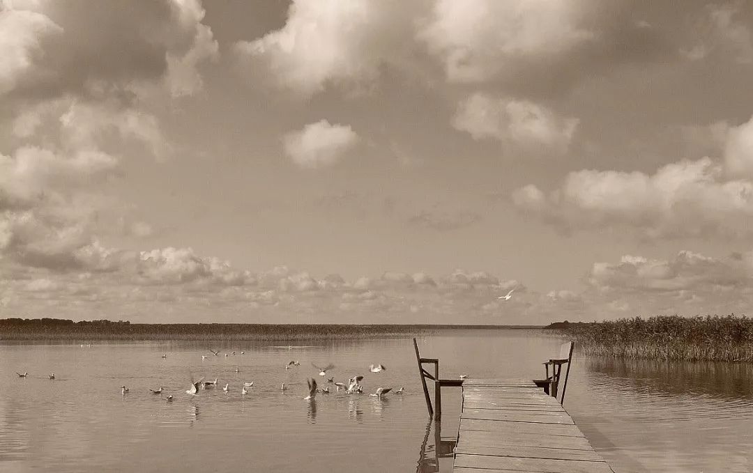 武汉蔡店农中琐忆