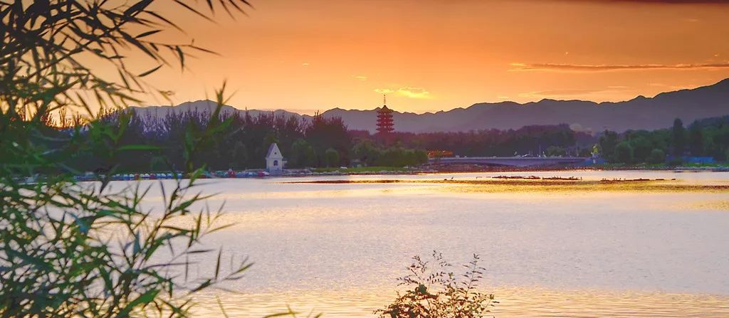 武汉蔡店农中琐忆