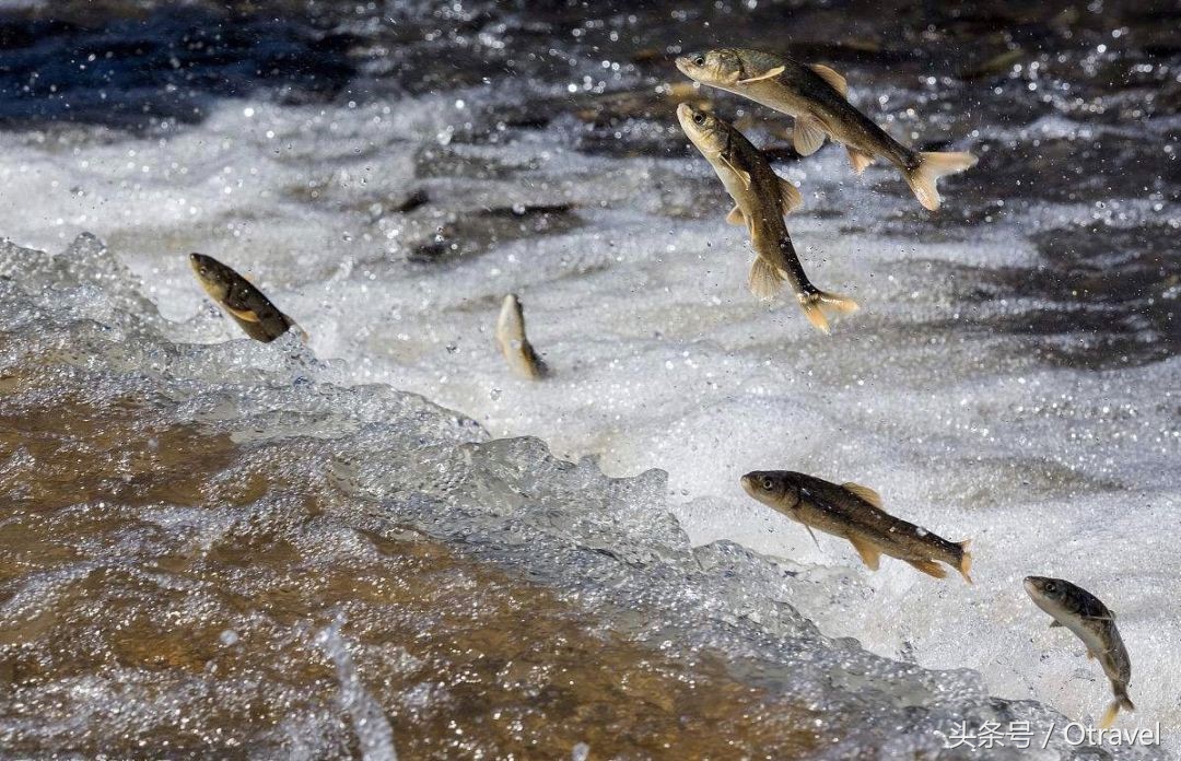 青海旅游攻略冬季游青海湖,青海青海湖旅行攻略