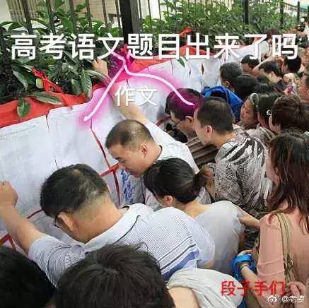 树上的男爵高考满分作文,何碧玉高考满分作文原文