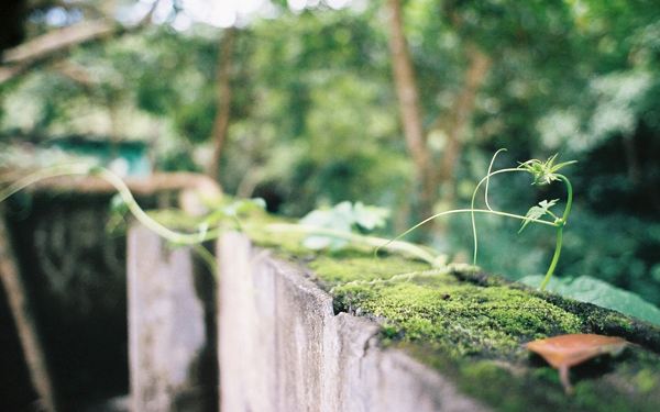 余秋雨关于时间的名言,余秋雨关于友情名言名句