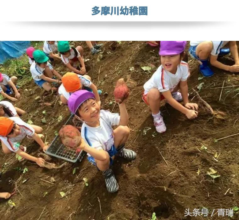 想去日本幼儿园参观学习,想去日本上学