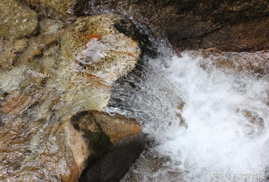 直道相思了无益未妨惆怅是清狂意,直道相思了无益未妨惆怅是清狂