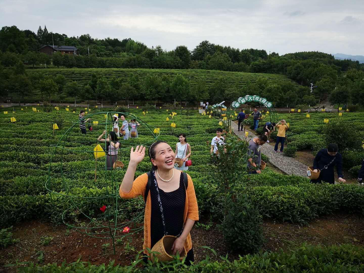 谢裕大臻选茶礼,谢裕大甄选茶礼