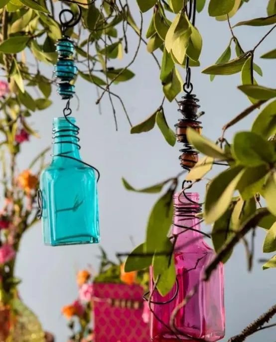 创意农业丨妙用瓶子,让你的农场不一样