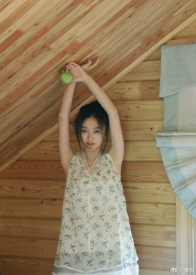 秦岚承认整容过吗,秦岚整容成功了么